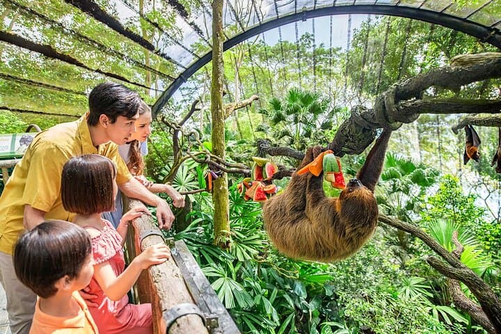 Singapore Zoo: Tram Ride & 11 Themed Zones — Visitor Guide photo 3