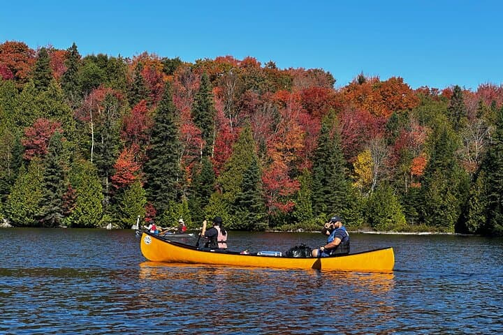 Algonquin Park 3-Day Deluxe Canoe & Backcountry Camping Adventure photo 2