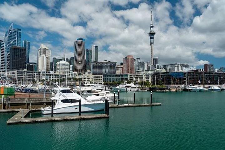 Auckland Half-Day Private Shore Excursion: City Highlights & Coastal Lookouts photo 4