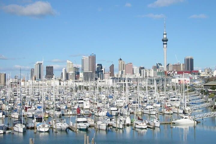 Auckland Half-Day Private Shore Excursion: City Highlights & Coastal Lookouts photo 5