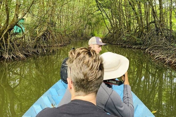 Can Gio Eco-Tour: Monkey Island, Crocodiles & Mangrove Speedboat Adventure photo 5