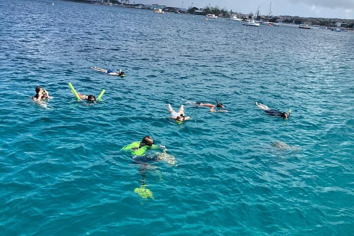 Private Catamaran Sail & Snorkel: West Coast Barbados Turtles & Reefs photo 4