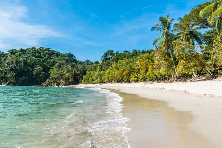Private Day Trip to Manuel Antonio: Rainforest Trails, Wildlife & Beach Time photo 2