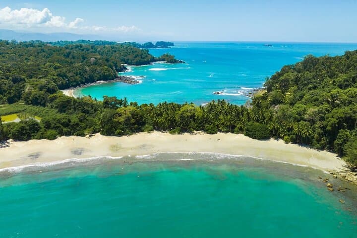 Private Day Trip to Manuel Antonio: Rainforest Trails, Wildlife & Beach Time photo 3