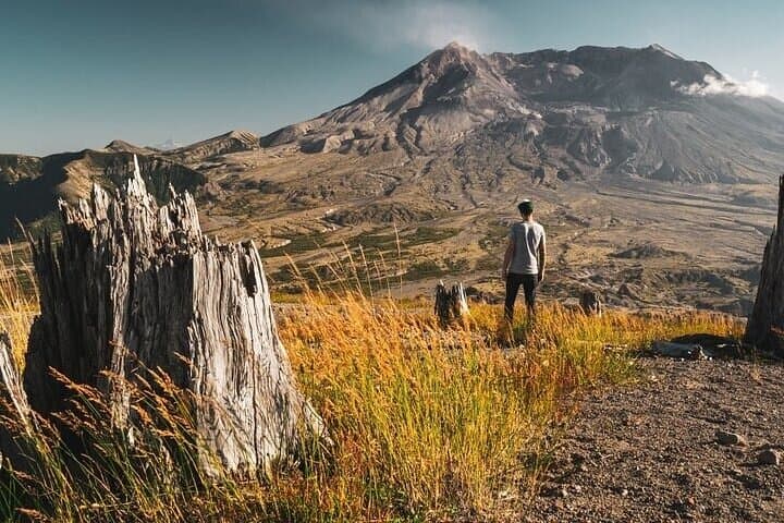 Portland to Mount St. Helens Day Tour — Johnston Ridge, Coldwater Lake & Silver Lake photo 2