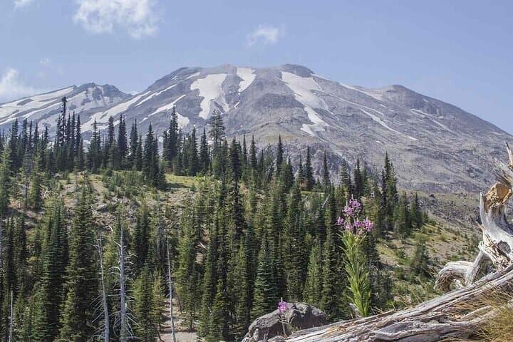 Portland to Mount St. Helens Day Tour — Johnston Ridge, Coldwater Lake & Silver Lake photo 3
