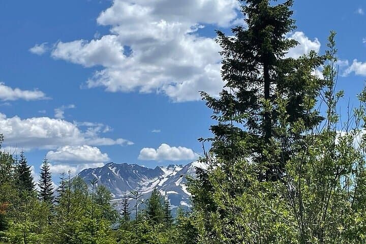 Portland to Mount St. Helens Day Tour — Johnston Ridge, Coldwater Lake & Silver Lake photo 5