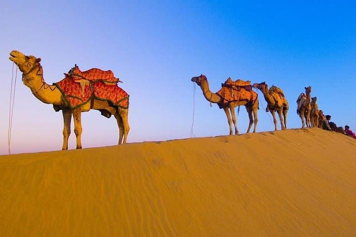 15-Day Royal Rajasthan Tour: Taj Mahal Sunrise, Desert Camp & Forts of Rajasthan photo 3
