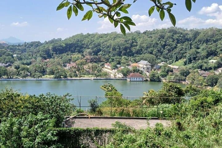 Full-Day Kandy City Tour: Temple, Botanical Gardens & Tea Factory photo 5