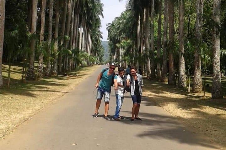 Full-Day Kandy City Tour: Temple, Botanical Gardens & Tea Factory photo 6