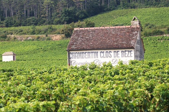 Private Wine Tasting Tour: Route des Grands Crus – Burgundy Day Trip from Dijon