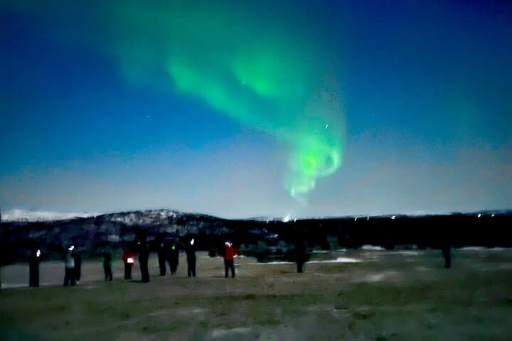 Aurora Chase by Bus: Northern Lights Tour from Alta photo 6