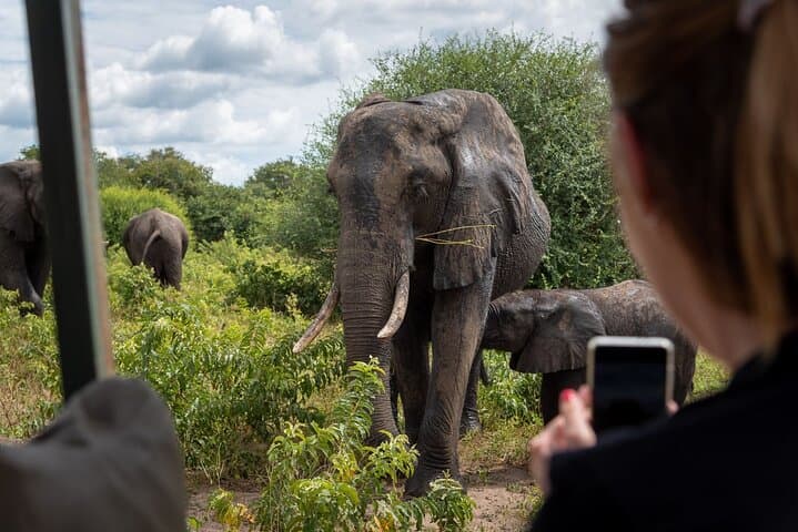 Private Full-Day Chobe Safari: River Cruise and Game Drive from Victoria Falls photo 1
