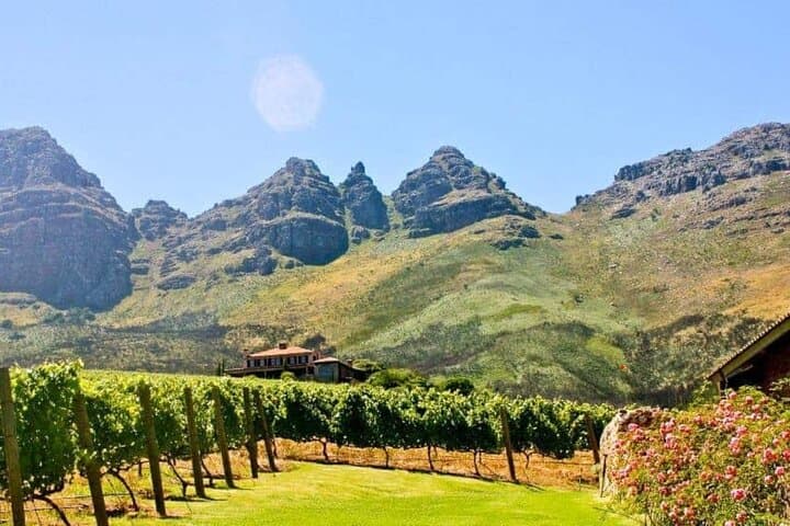 Cape Agulhas and Hermanus Day Tour: Southern Tip, Penguins & Wine photo 6