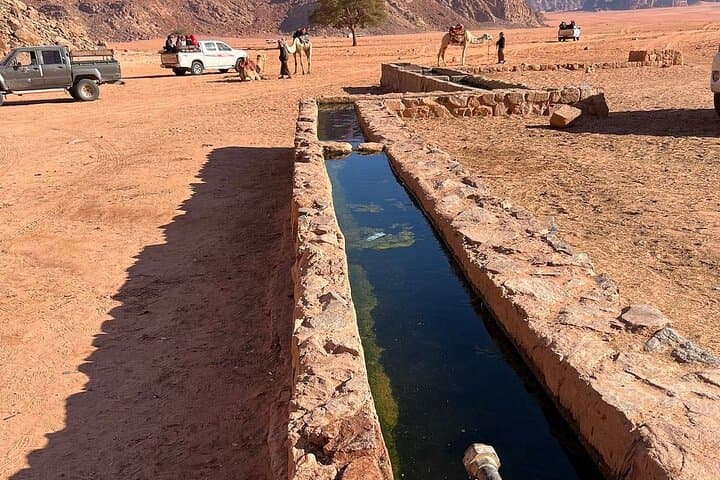 Wadi Rum 2-Hour Jeep Tour: Morning & Sunset Desert Highlights