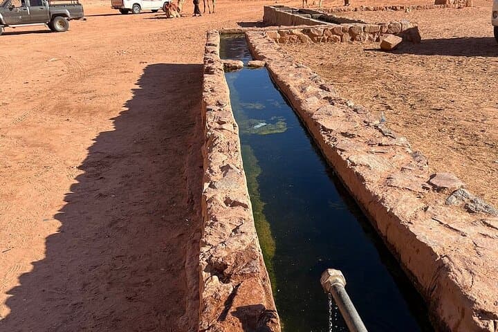 Wadi Rum Jeep Day-and-Night: Full-Day Tour with Bedouin Camp Overnight photo 3
