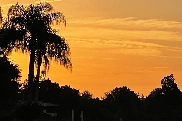King's Bay Sunset Cruise: Wildlife and Evening Calm on Florida’s Crystal River