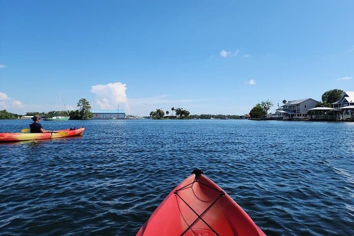Crystal River Kings Bay Kayak: 3-Hour Guided Manatee Paddle photo 5