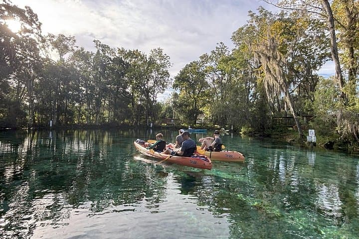 Kayak with Manatees in Kings Bay: 3-Hour Guided Tandem Adventure from Crystal River photo 1
