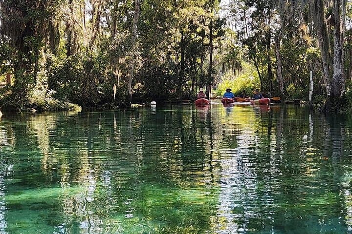 Crystal River Kings Bay Kayak: 3-Hour Guided Manatee Paddle photo 4