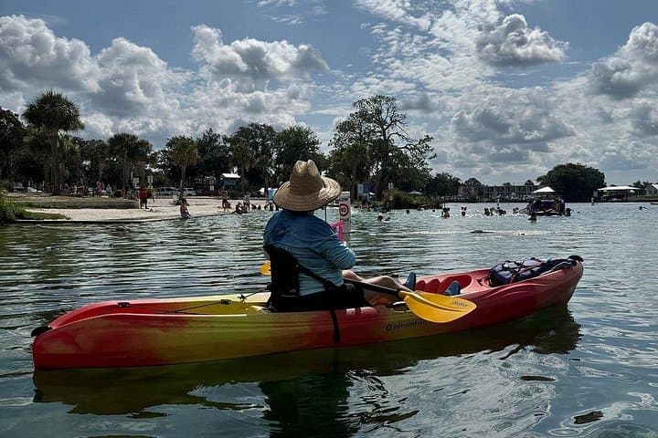 Kayak with Manatees in Kings Bay: 3-Hour Guided Tandem Adventure from Crystal River photo 4