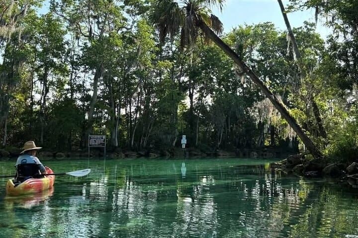 Crystal River Kings Bay Kayak: 3-Hour Guided Manatee Paddle