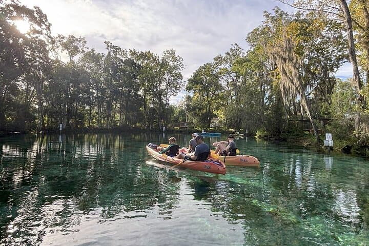 Crystal River Kings Bay Kayak: 3-Hour Guided Manatee Paddle photo 3