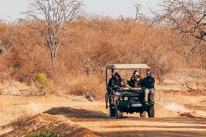 Big 5 Sunset Safari in Hoedspruit: Private Game Drive at Dusk