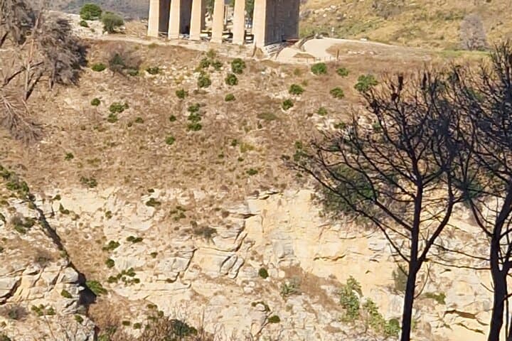 Segesta Off-Road Adventure: 3.5-Hour Quad & Side-by-Side Tour from Calatafimi photo 4