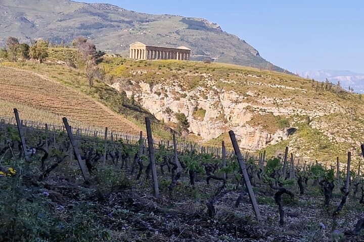 Segesta Off-Road Adventure: 3.5-Hour Quad & Side-by-Side Tour from Calatafimi photo 5