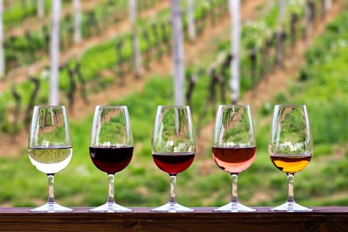 Private Franschhoek & Stellenbosch Wine Tour from Cape Town: A Day of Vineyards, History and Gourmet Lunch