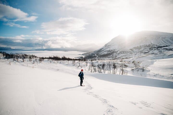 Kiruna Snowshoeing: Guided Daytime Hike through Arctic Forests photo 2