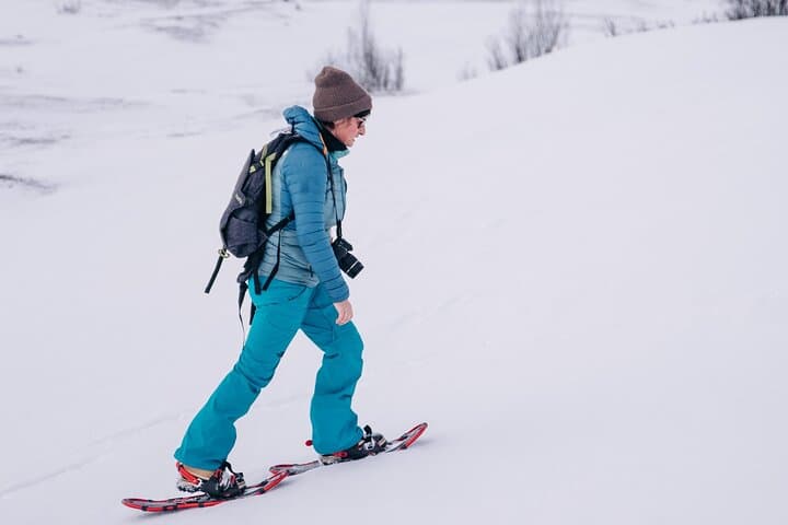 Kiruna Snowshoeing: Guided Daytime Hike through Arctic Forests photo 4