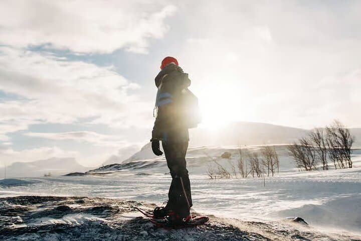 Kiruna Snowshoeing: Guided Daytime Hike through Arctic Forests