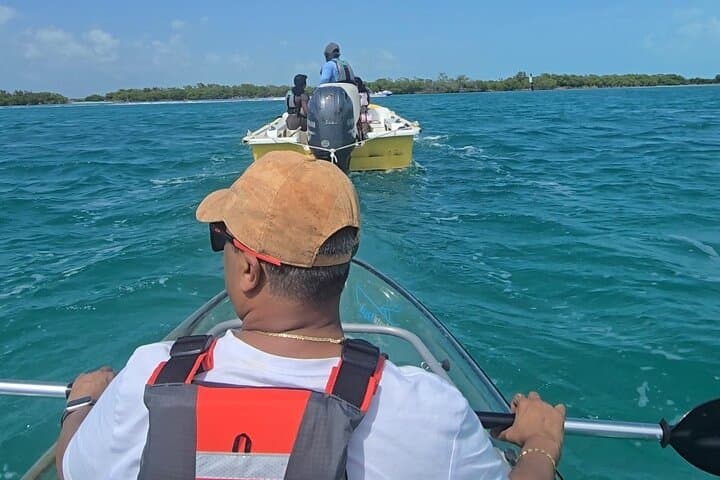 Clear Kayak ECO Tours in Providenciales — Paddle Mangrove Channels & Visit Iguana Island