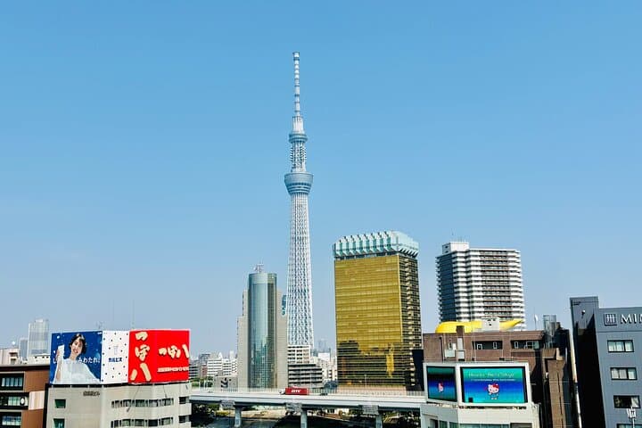 Private Full-Day Tokyo Car Tour with Local Guide — Meiji Shrine, Tsukiji & Skytree photo 5