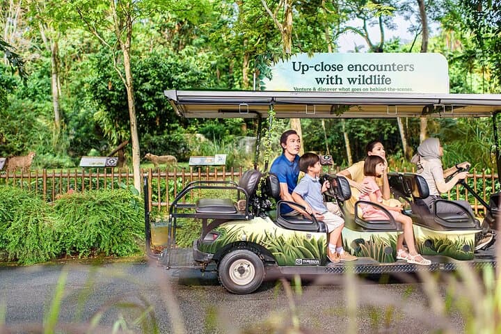 Singapore Zoo: Tram Ride & 11 Themed Zones — Visitor Guide photo 5