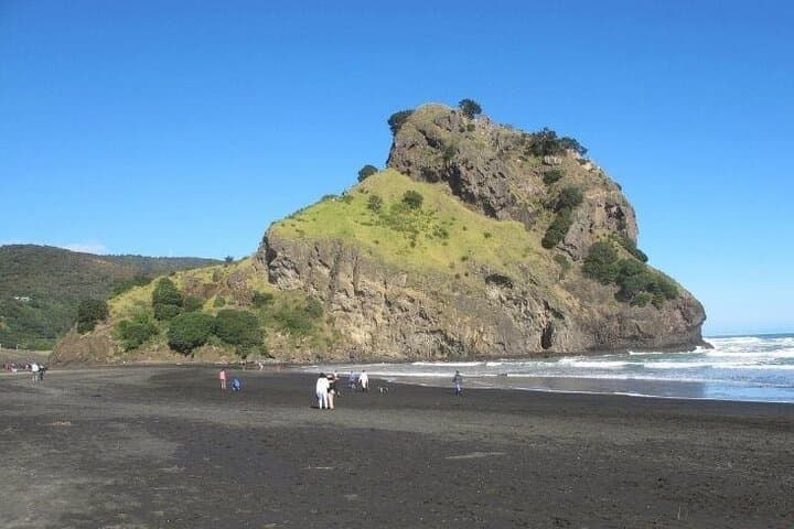 Private West Auckland: Piha Beach & Waitākere Ranges Rainforest Escape photo 2