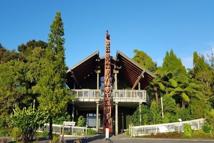 Private West Auckland: Piha Beach & Waitākere Ranges Rainforest Escape photo 3