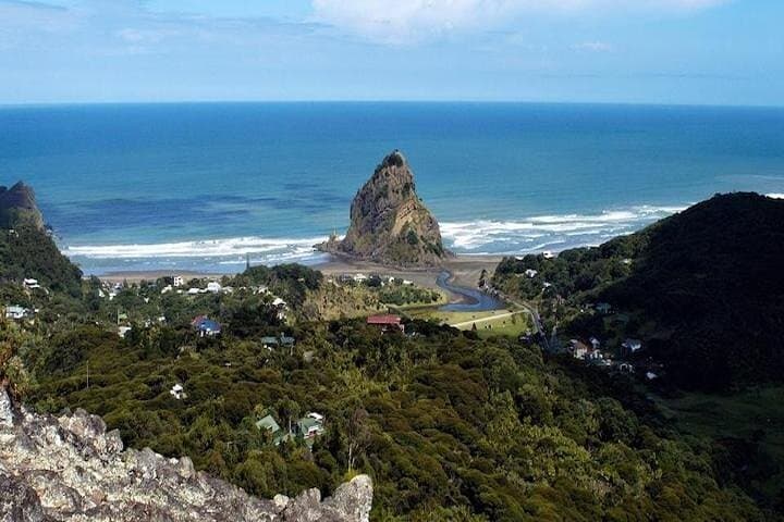 Private West Auckland: Piha Beach & Waitākere Ranges Rainforest Escape photo 4
