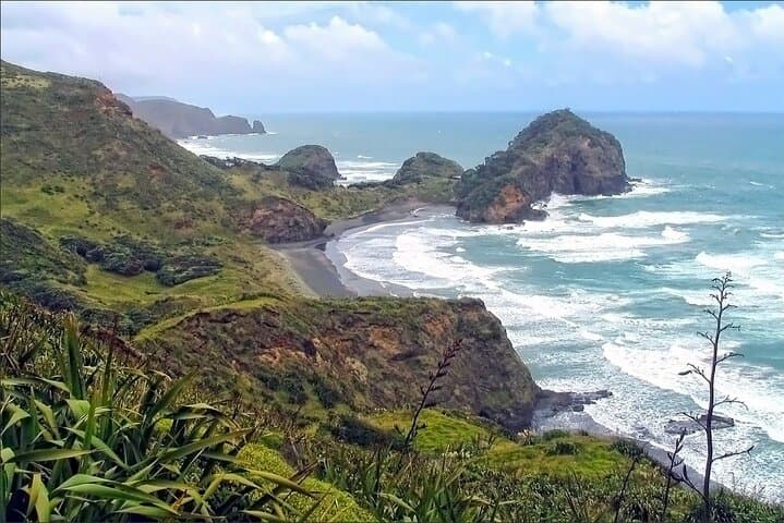 Private West Auckland: Piha Beach & Waitākere Ranges Rainforest Escape photo 5