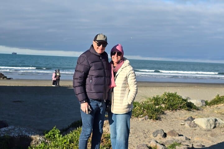 Explore Christchurch: A Coastal & City Adventure in One Day photo 6