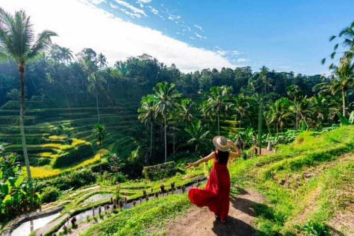 Ubud Day Tour: Monkey Forest, Tegalalang Rice Terraces & Tegenungan Waterfall photo 6