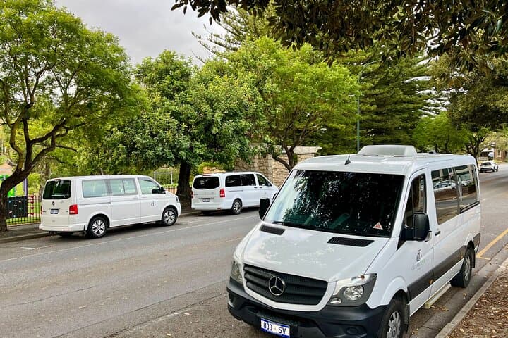 Adelaide Hills Wine & Wildlife Tour — Hahndorf, Mount Lofty & Lunch photo 5