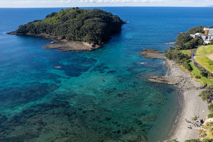 Goat Island Guided Snorkel: Beginner-Friendly Marine Reserve Experience photo 3