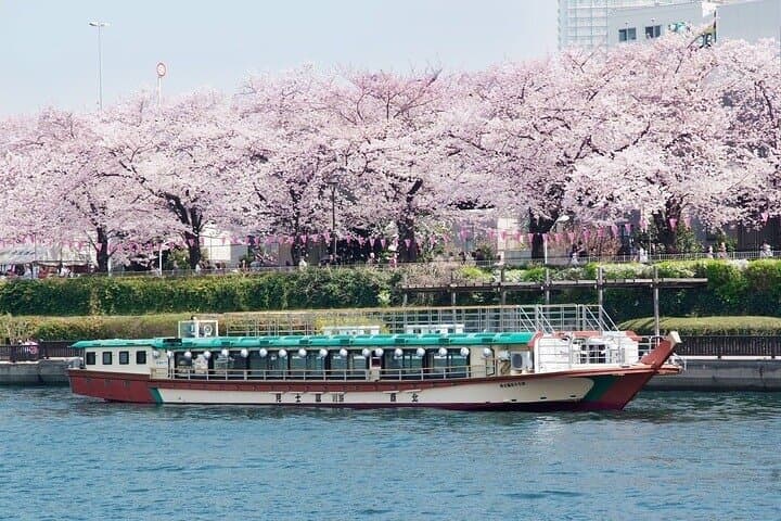Sumida River Cherry Blossom Yakatabune Cruise — Tokyo Hanami Boat Experience photo 3