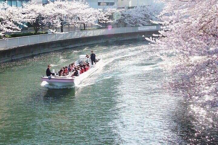 Sumida River Cherry Blossom Yakatabune Cruise — Tokyo Hanami Boat Experience photo 4
