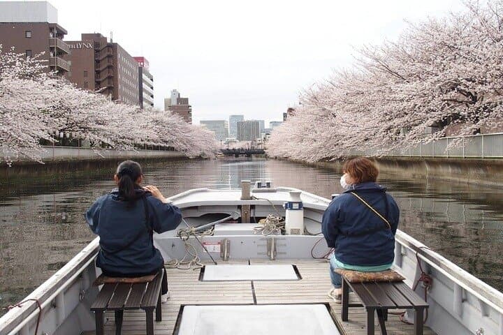 Sumida River Cherry Blossom Yakatabune Cruise — Tokyo Hanami Boat Experience photo 5