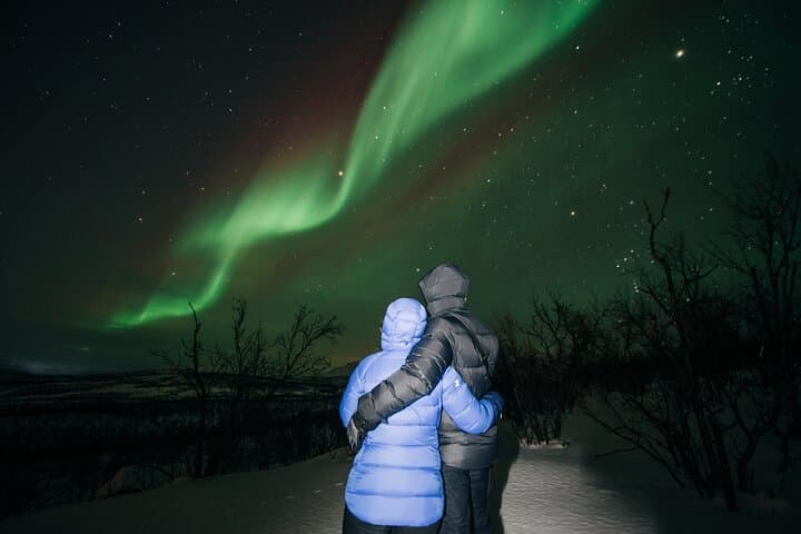 Abisko Northern Lights Car Chase with Professional Photographer