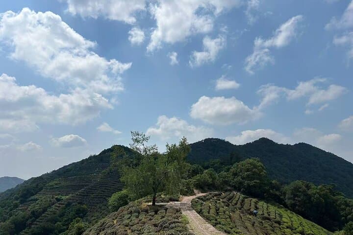 2-Day Hangzhou Escape: West Lake, Faxi Temple & Longjing Tea Hike photo 3
